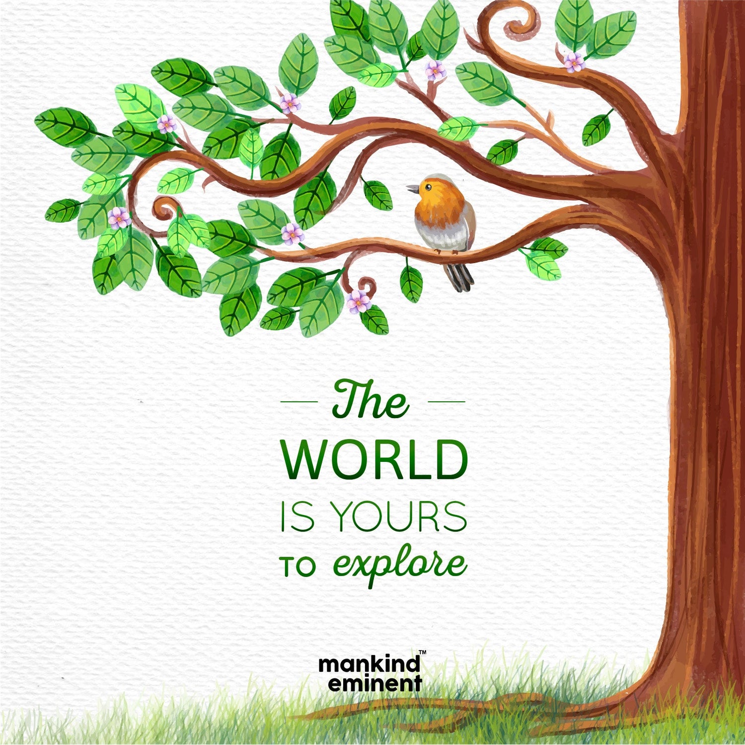 "THE WORLD IS YOURS TO EXPLORE" COLLECTIONS