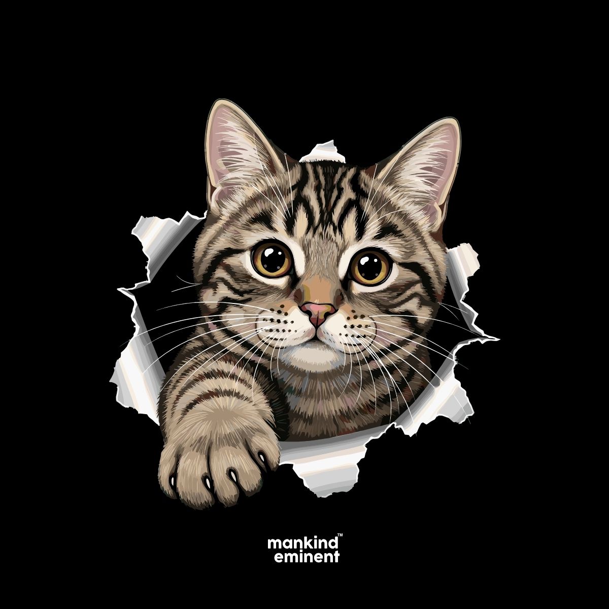 CAT COLLECTIONS