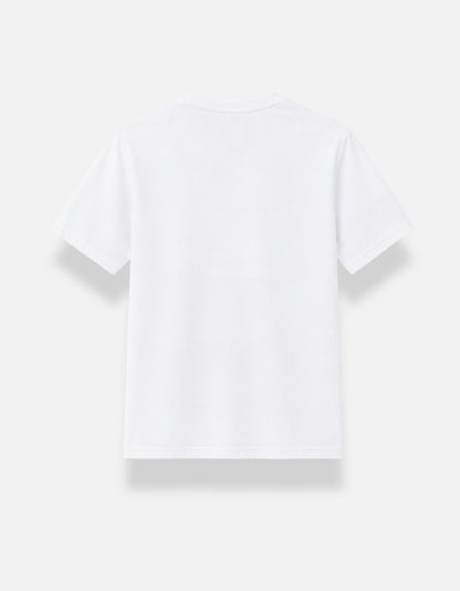 Back_2_c_1.jpg