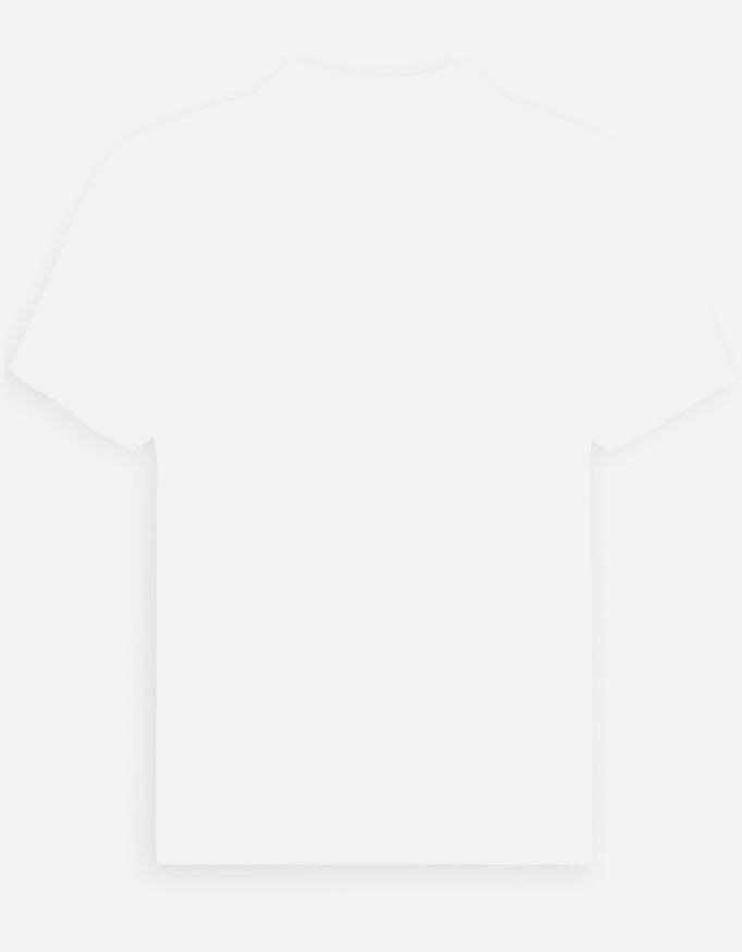 Back_3_c_4.jpg